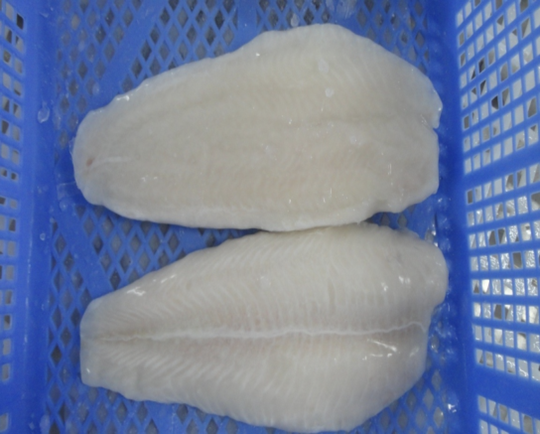 Pangasius Fish Fillet